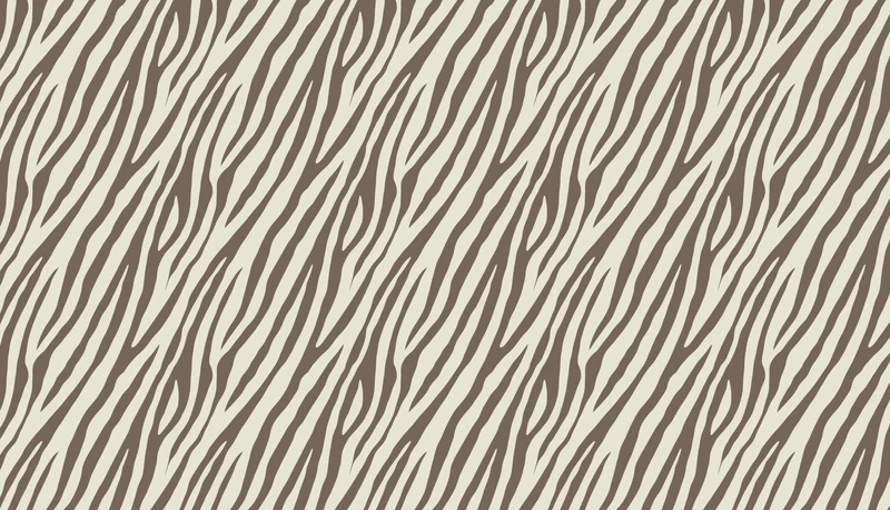 Tapis vinyl ZEBRA