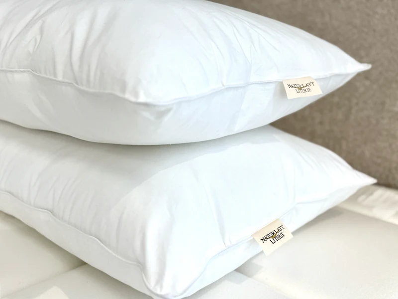 Lot de 2 Oreillers Luneo