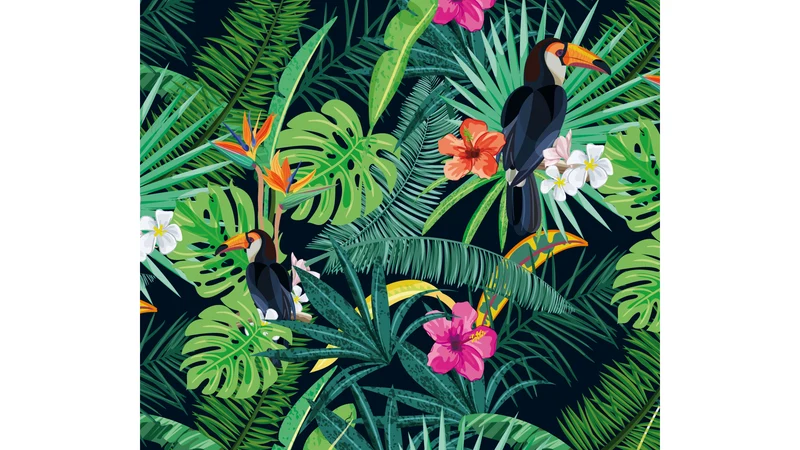 PROMENADE TROPICALE