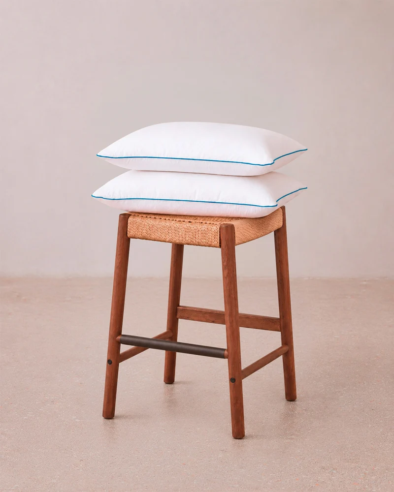 Oreiller Pillow - polyester - lot de 2