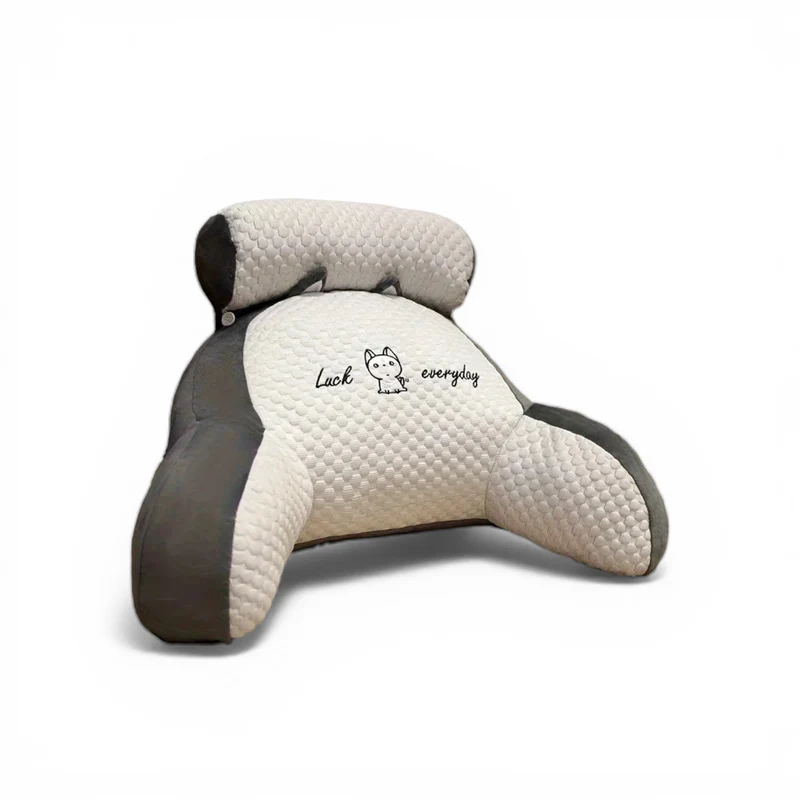 Coussin de soutien dorsal