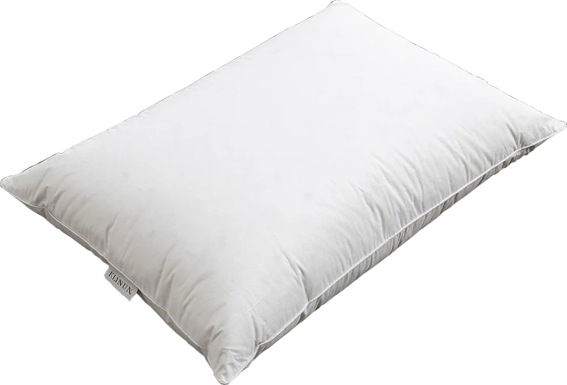 OREILLER NATUREL DUVET DE CANARD