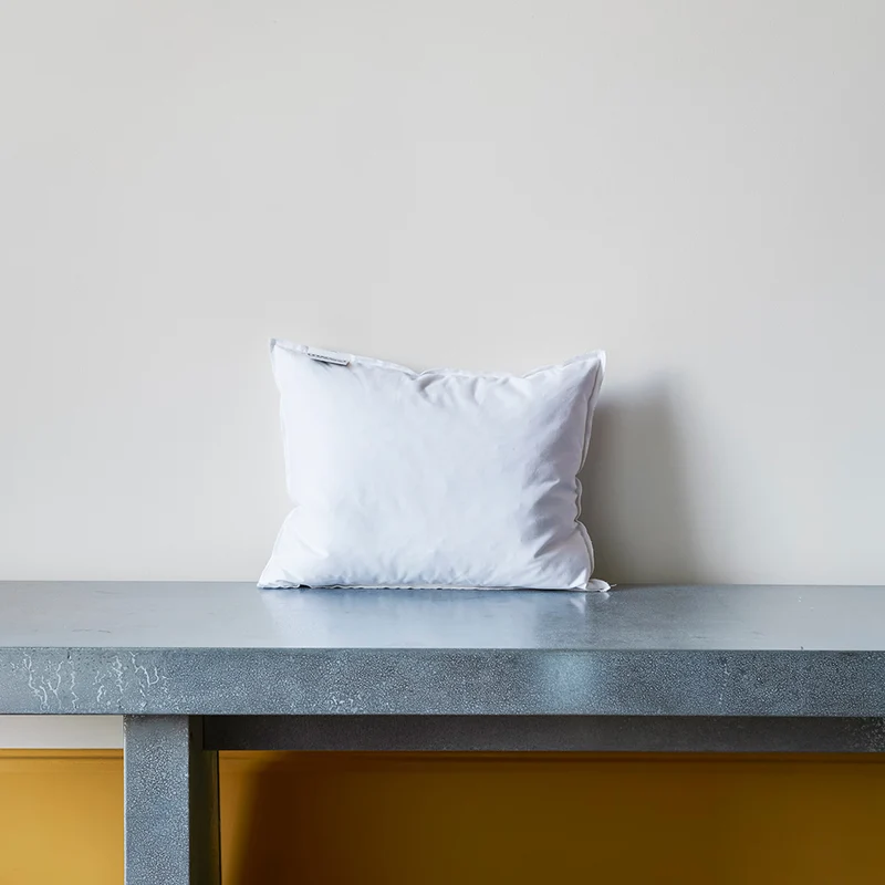 Intérieur de coussin en plume d'oie - Blanc